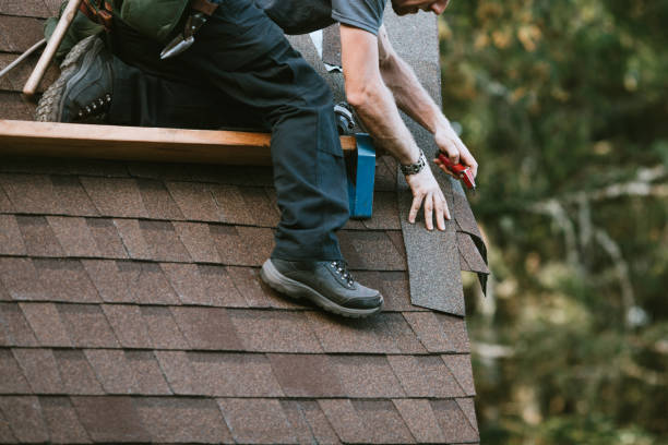 Best Metal Roofing Contractor  in Sumas, WA